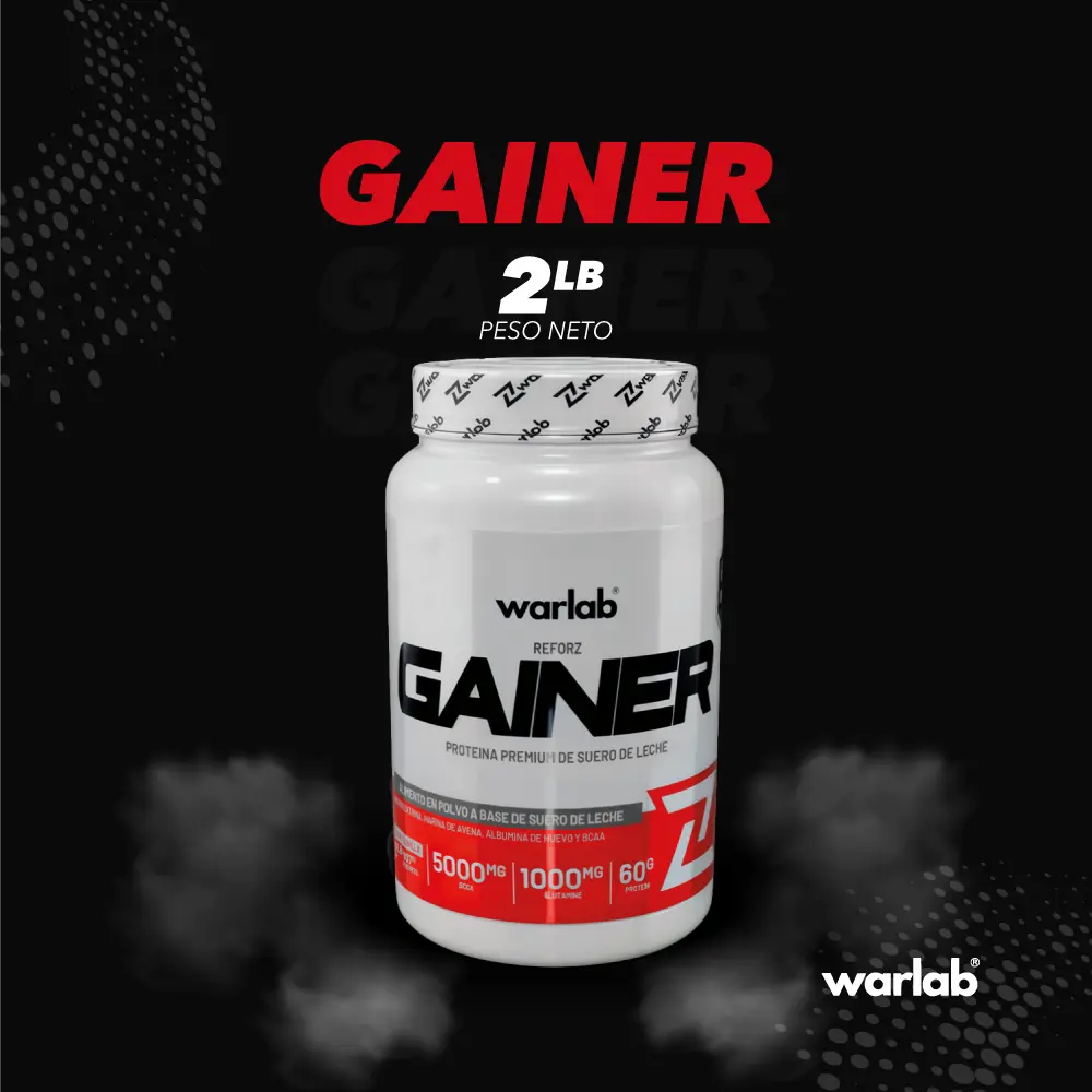 Gainer x 2LB